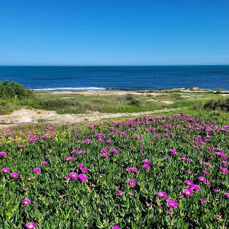 Chilledholidays Apartmán Torrevieja