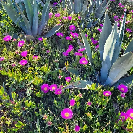 Chilledholidays شقة تورّيفيِخا