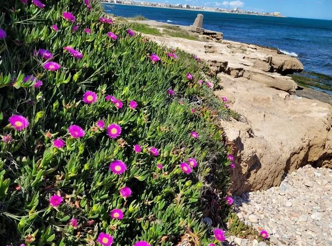 Appartement Chilledholidays *